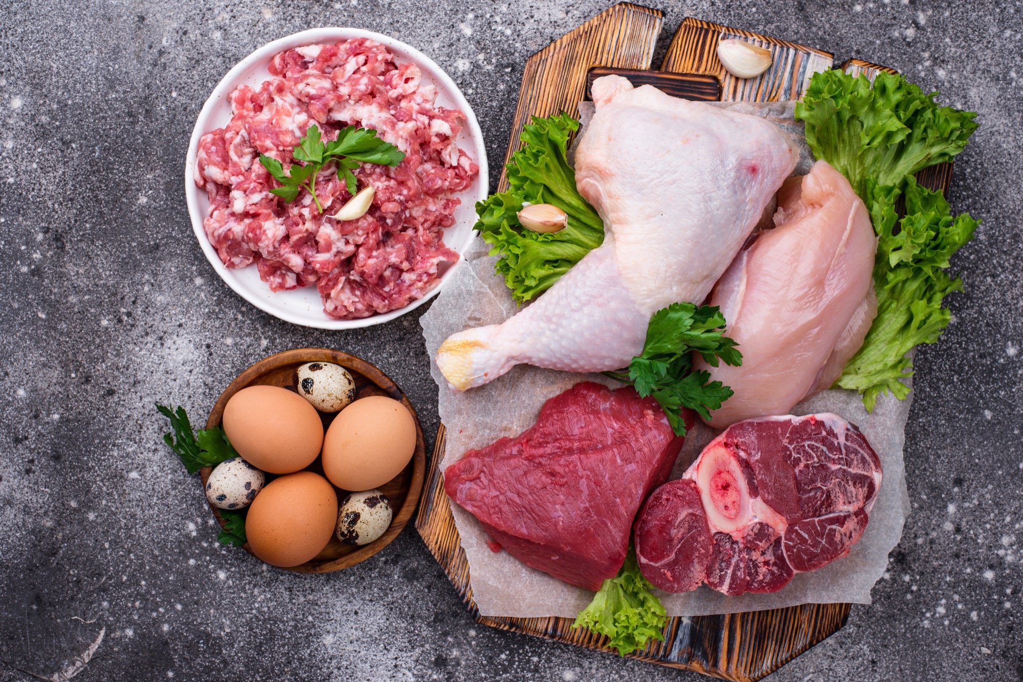 Global protein market products